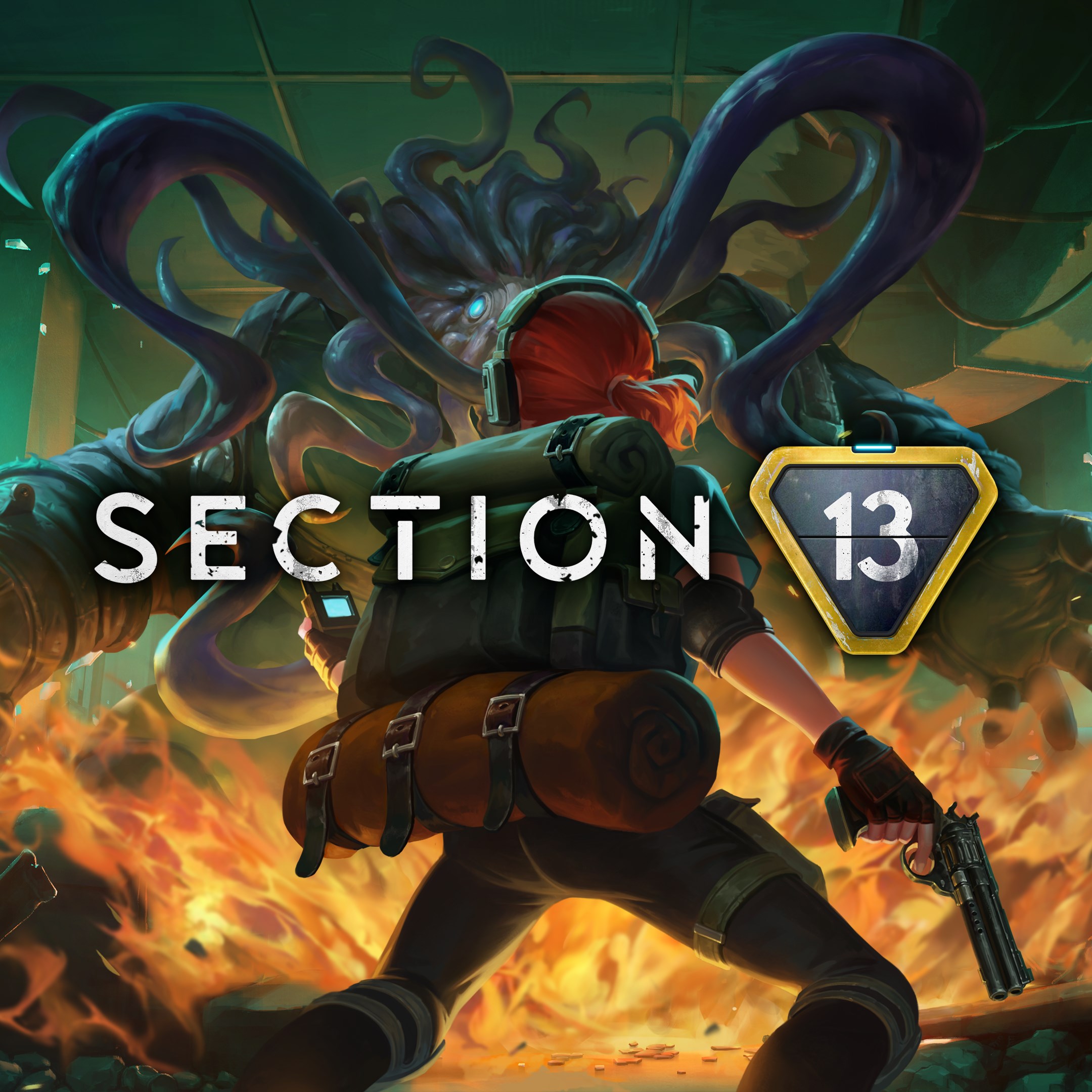 Boxart for Section 13