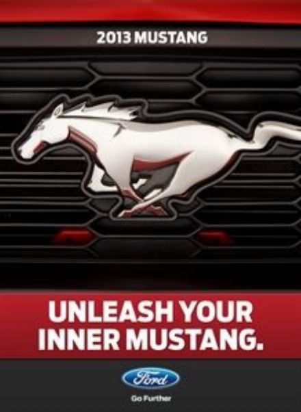 Boxart for Mustang Customizer