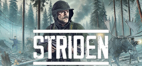 Boxart for STRIDEN