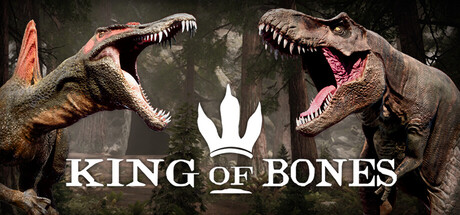 Boxart for King of Bones