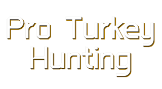 Boxart for Pro Turkey Hunting Trophies