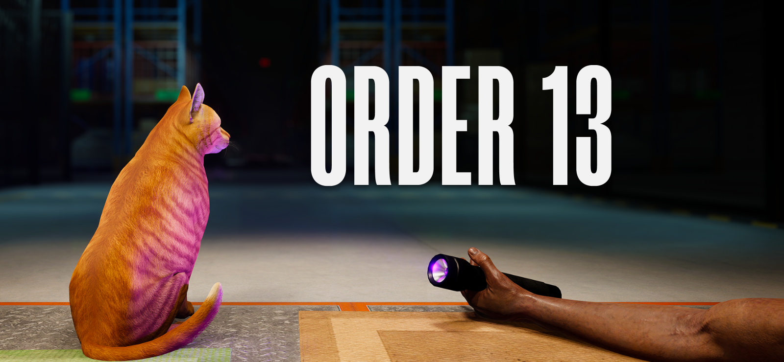 Boxart for ORDER 13
