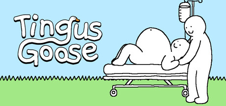 Boxart for Tingus Goose
