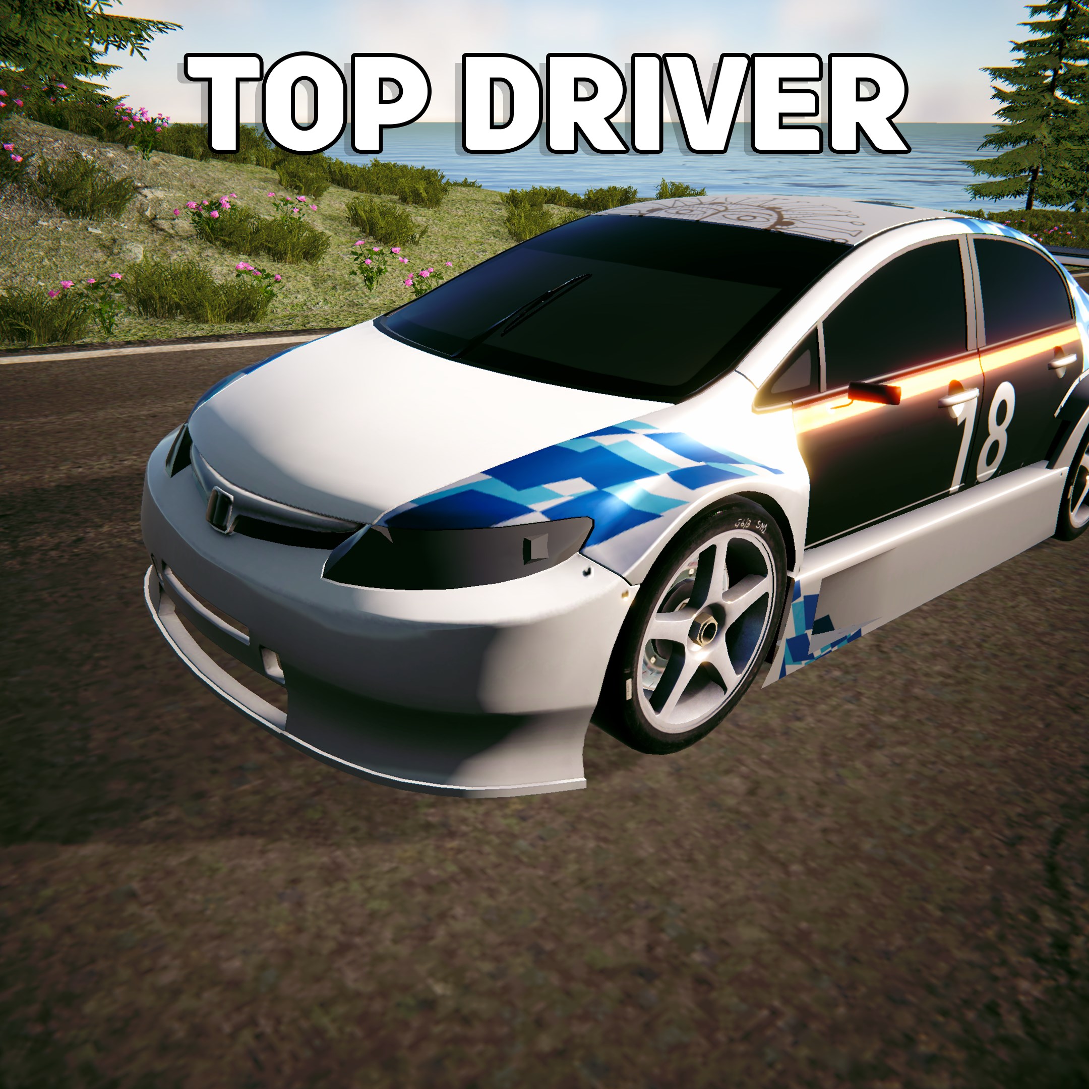 Boxart for Top Driver