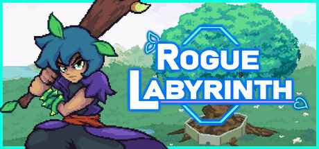 Boxart for Rogue Labyrinth