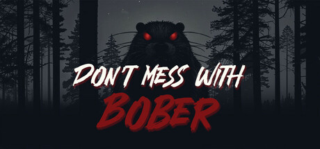 Boxart for Don't Mess With Bober