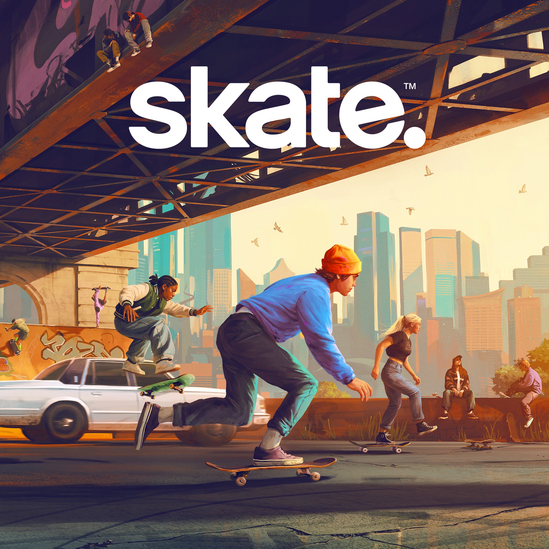 Boxart for skate.