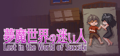 Boxart for Lost in the World of Succubi