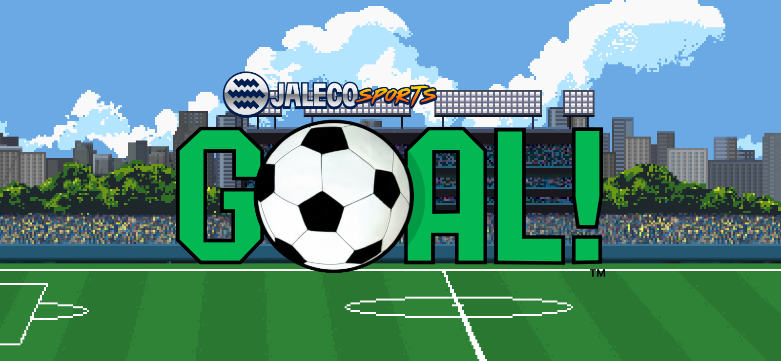 Boxart for Jaleco Sports: Goal!