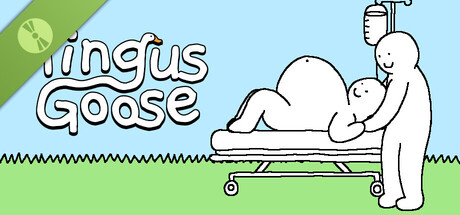 Boxart for Tingus Goose Demo