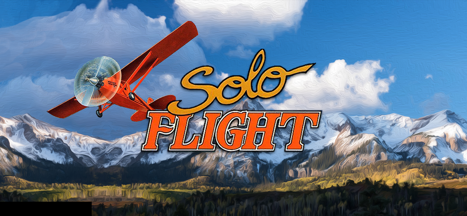 Boxart for Solo Flight