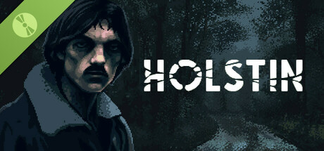 Boxart for Holstin Demo
