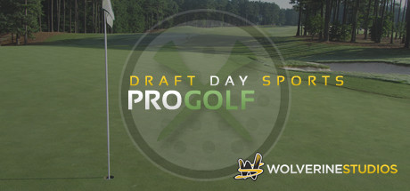 Boxart for Draft Day Sports: Pro Golf