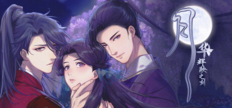 Boxart for 月华辉映之刻