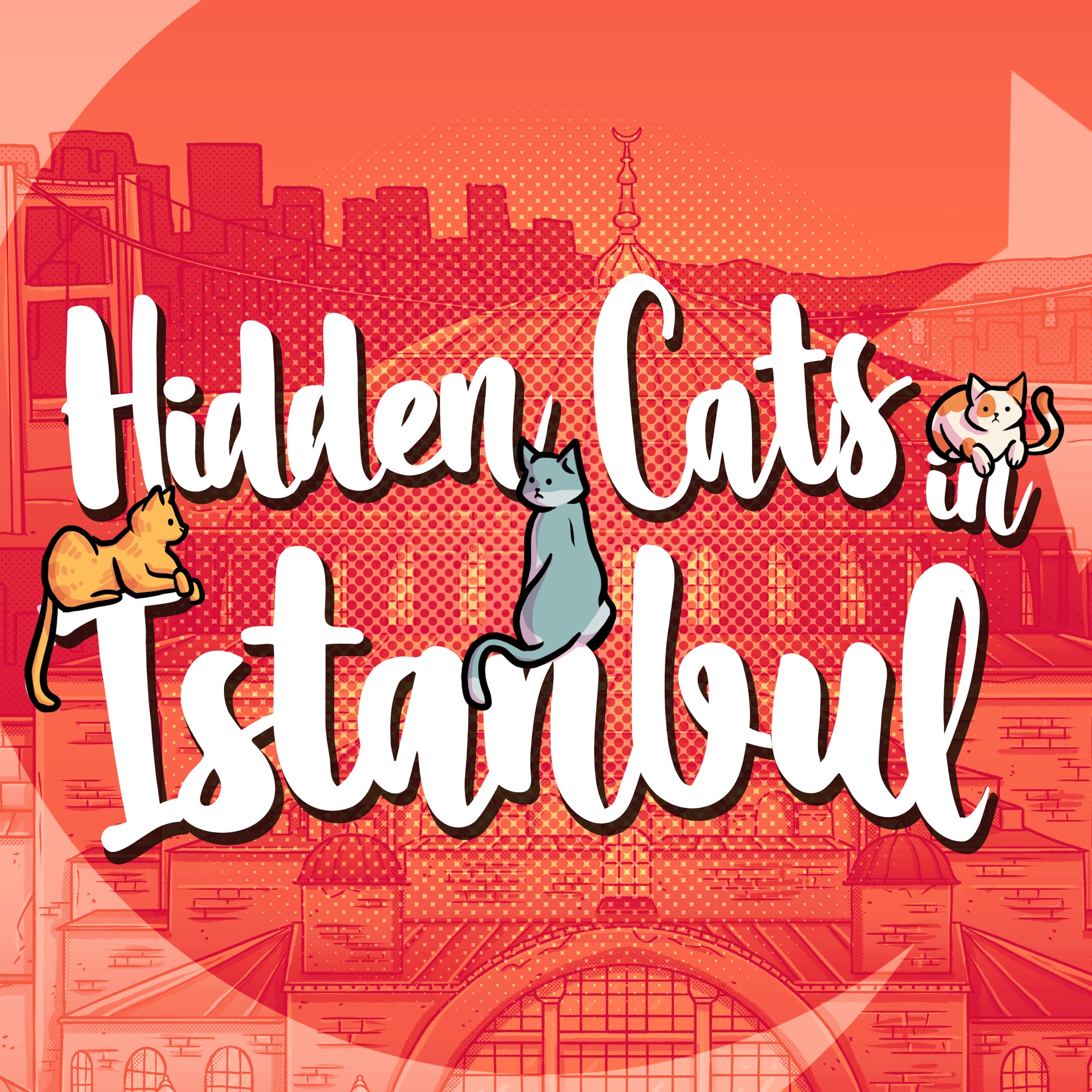 Boxart for Hidden Cats in Istanbul