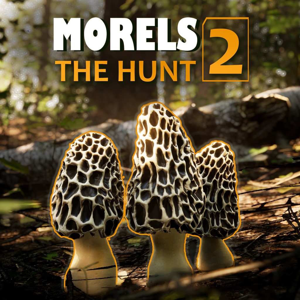 Boxart for Morels The Hunt 2