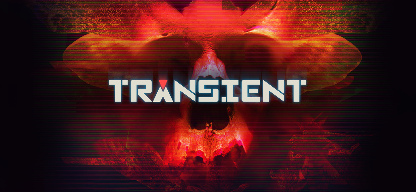 Boxart for Transient