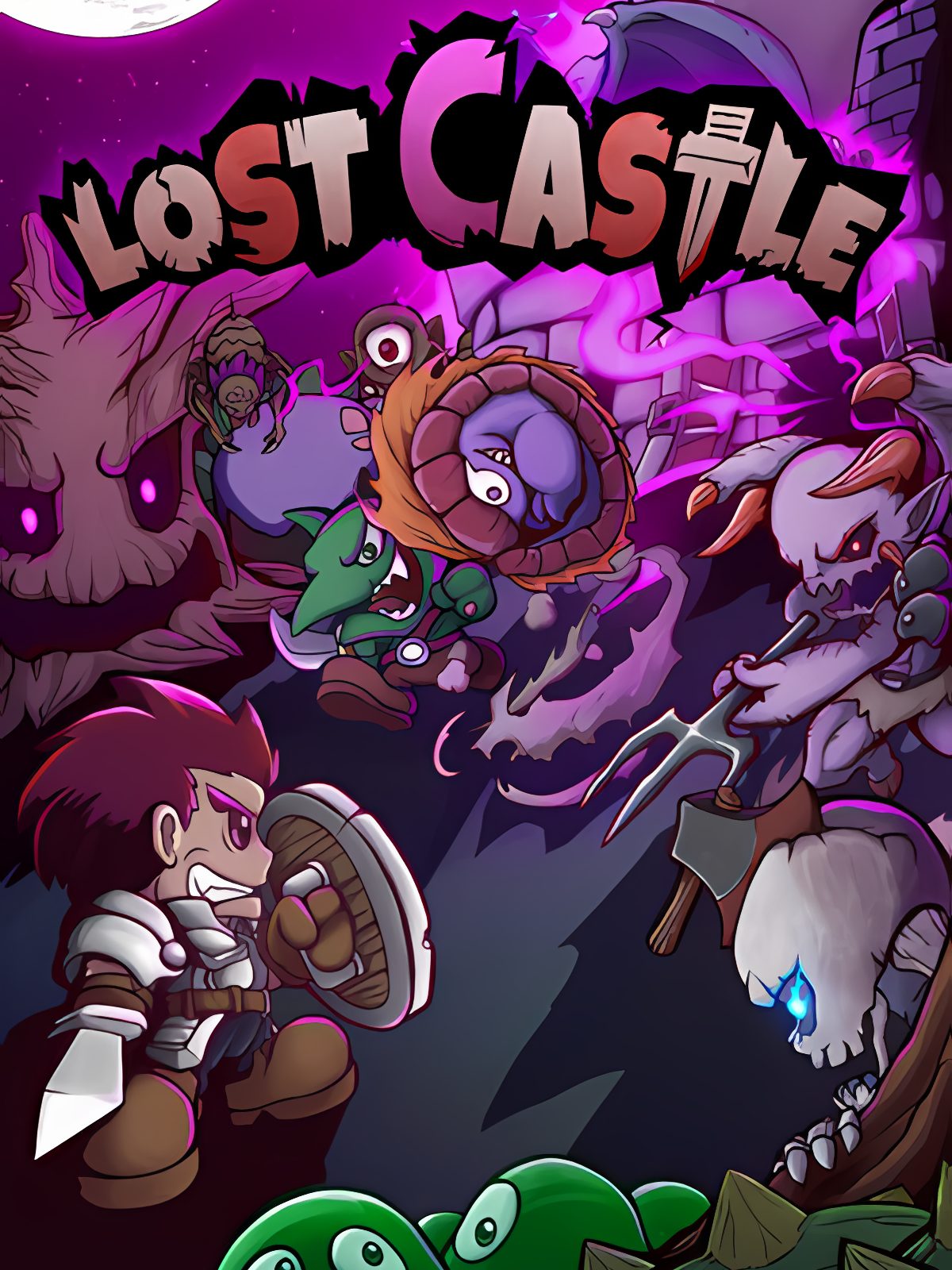 Boxart for Lost Castle