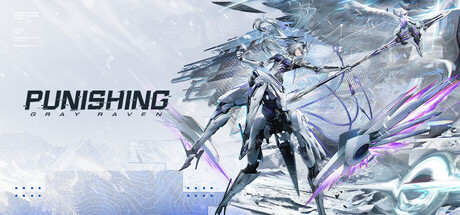 Boxart for Punishing: Gray Raven