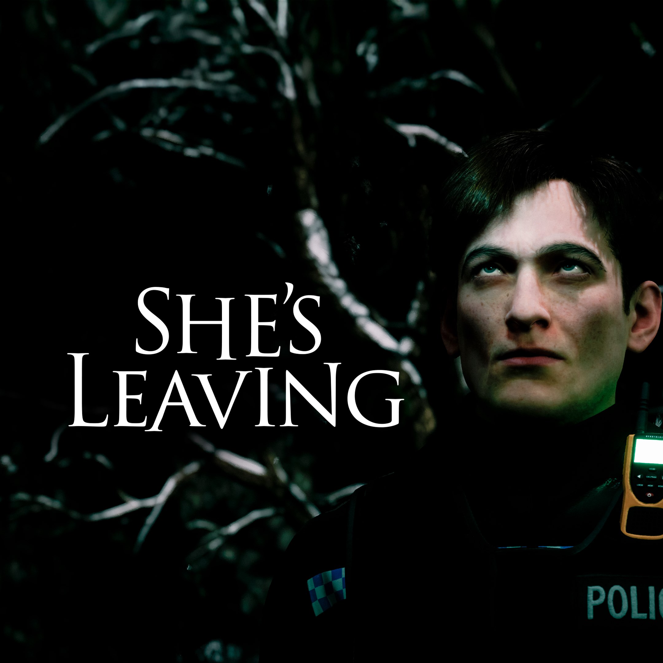 Boxart for She\'s Leaving