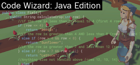 Boxart for Code Wizard: Java Edition
