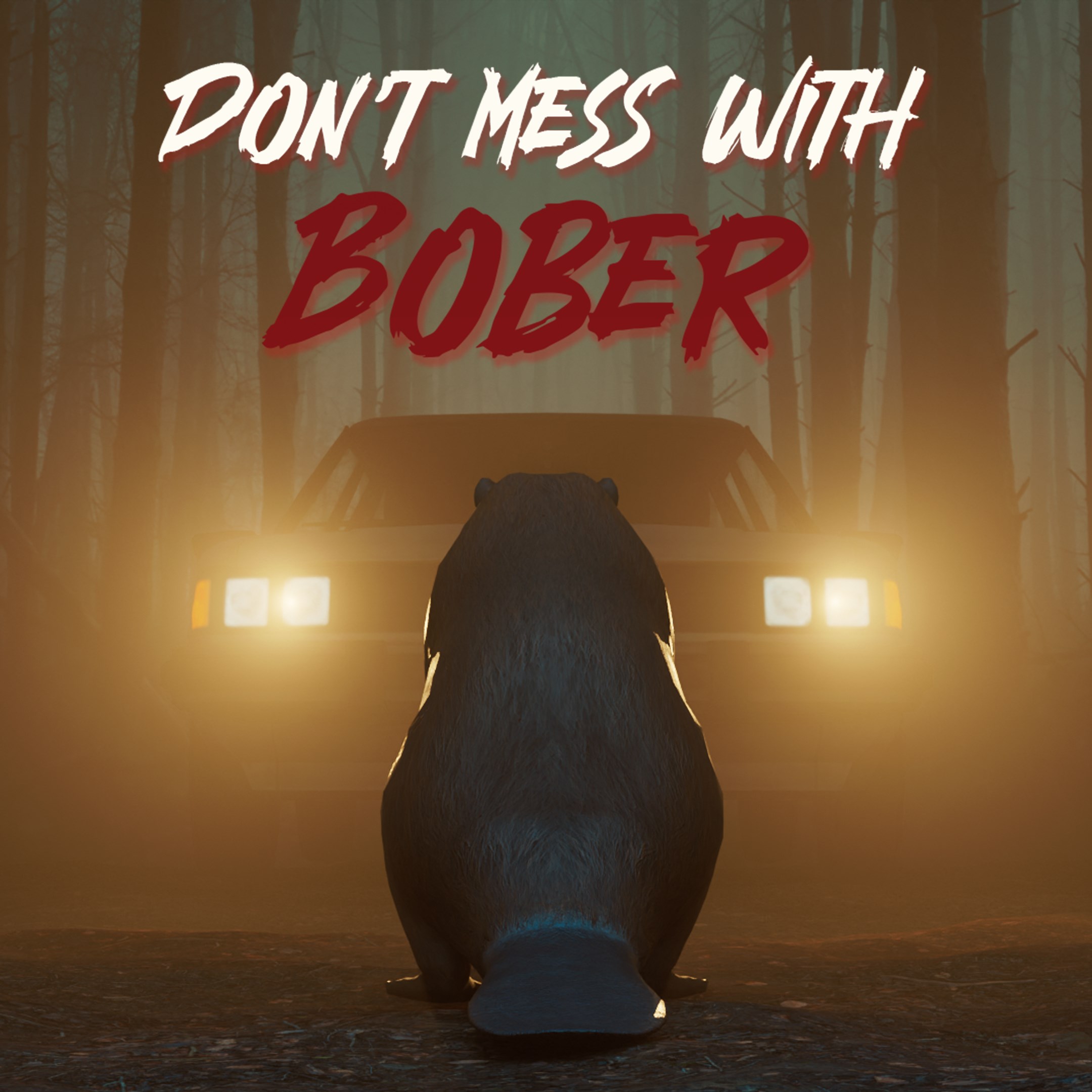 Boxart for Don\'t Mess With Bober