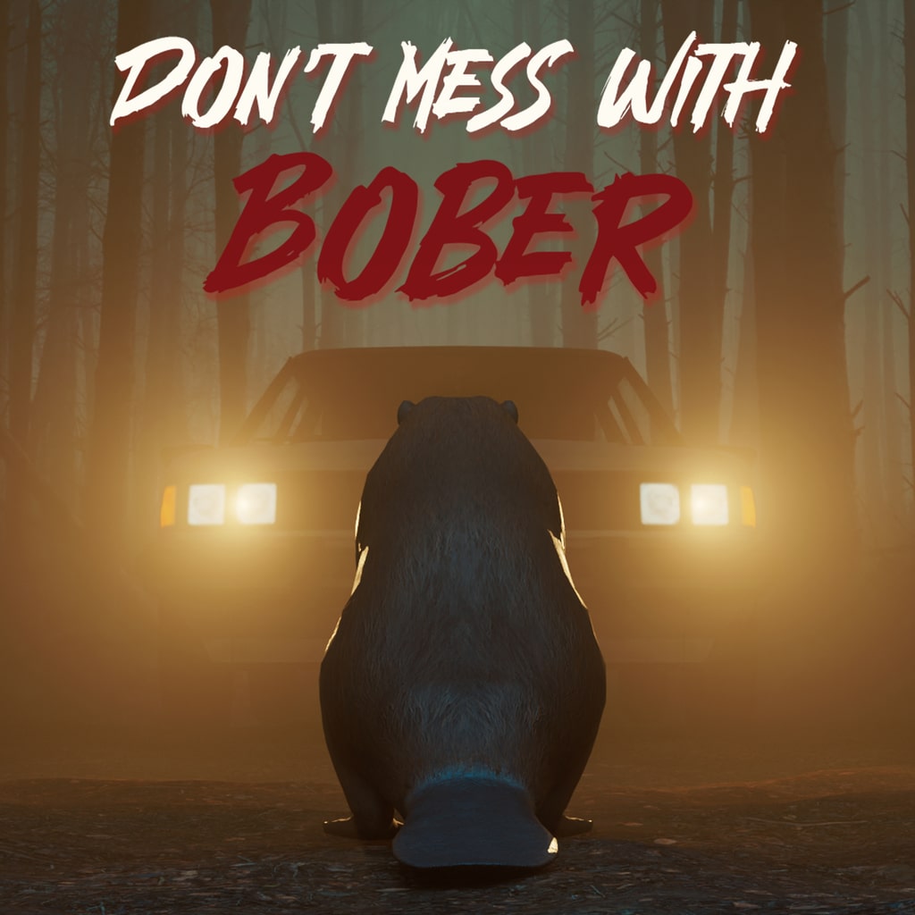 Boxart for Don't Mess With Bober