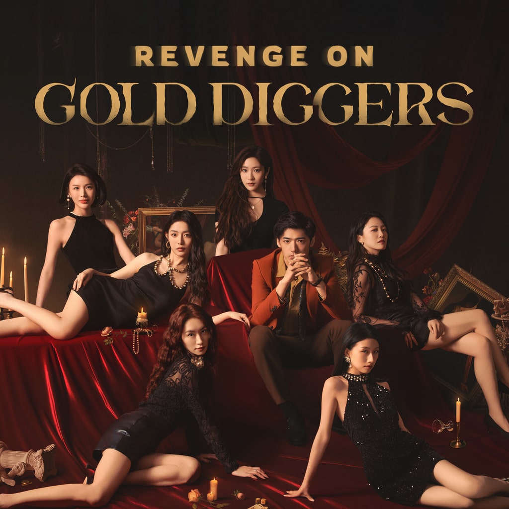 Boxart for Revenge On Gold Diggers