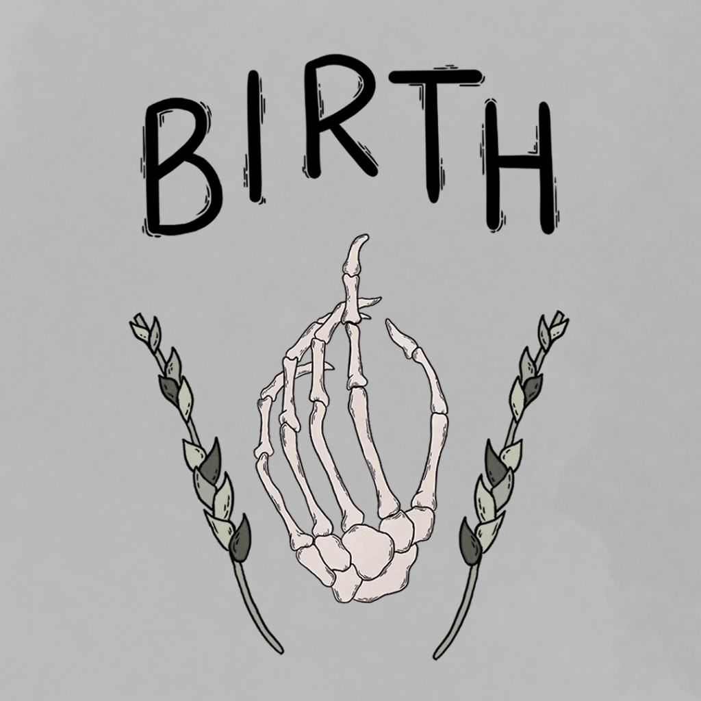 Boxart for Birth