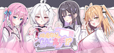Boxart for Could You Be a Gal Master?