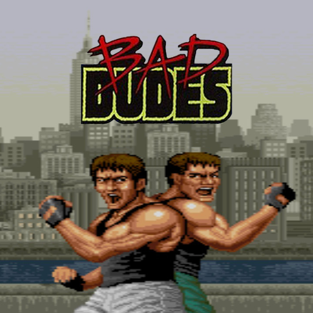 Boxart for Bad Dudes