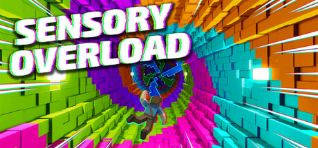 Boxart for Sensory Overload