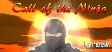 Boxart for Call of the Ninja!