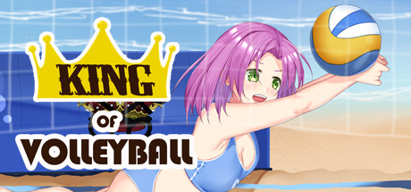Boxart for King of Volleyball