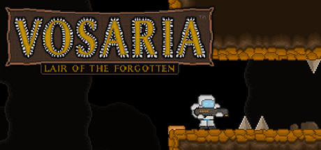 Boxart for Vosaria: Lair of the Forgotten