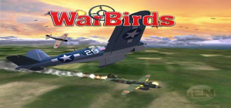 Boxart for WarBirds - World War II Combat Aviation