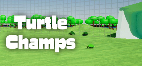 Boxart for Turtle Champs