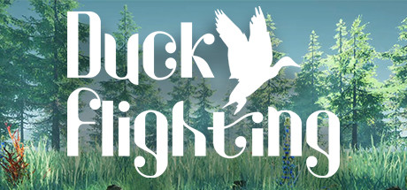 Boxart for Duck Flight Simulator 2021