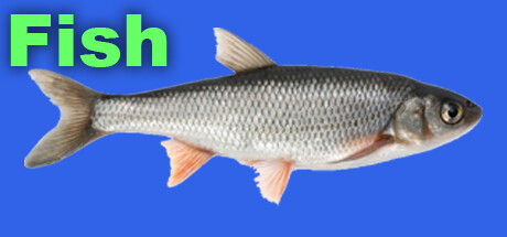 Boxart for Fish