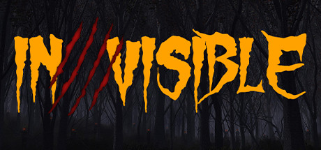 Boxart for Invisible