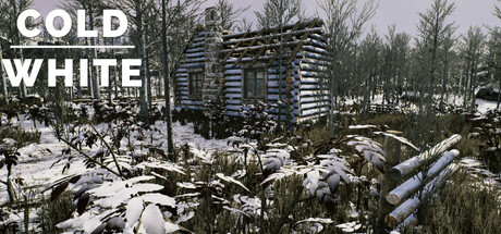 Boxart for The Cold White