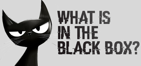 Boxart for What is in the Black Box?