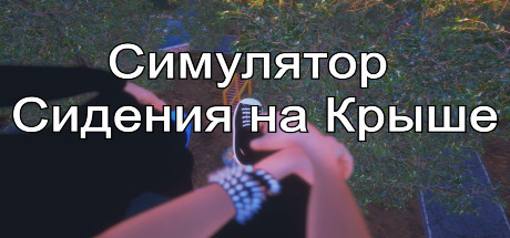 Boxart for Симулятор Сидения на Крыше
