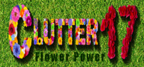 Boxart for Clutter 17: Flower Power - Collector's Edition