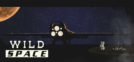 Boxart for Wild Space