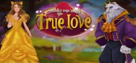 Boxart for Amanda's Magic Book 4: True Love