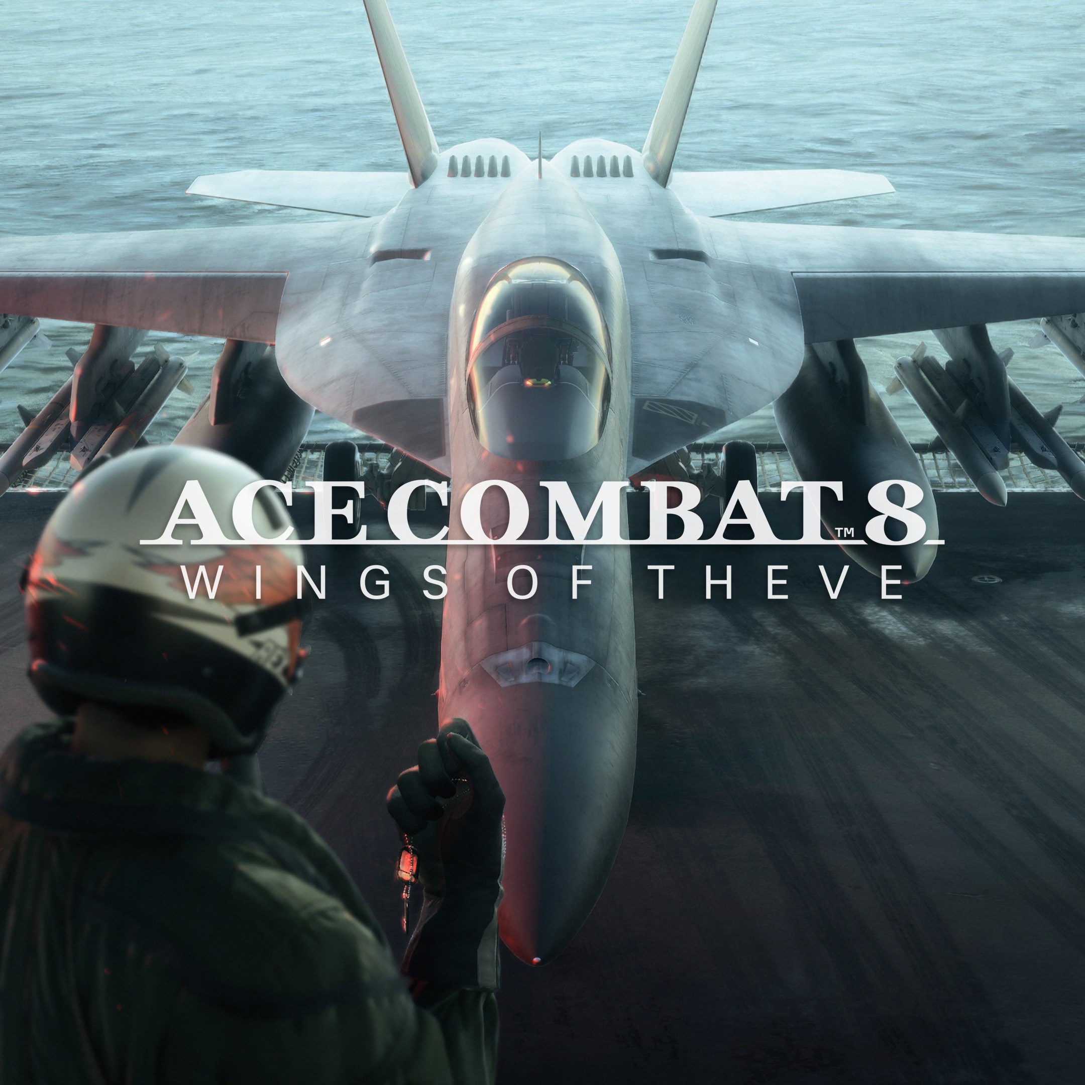 Boxart for ACE COMBAT 8: WINGS OF THEVE