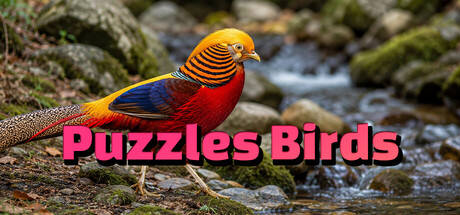 Boxart for Puzzles Birds