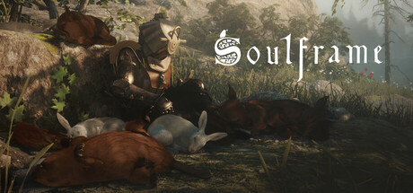 Boxart for Soulframe