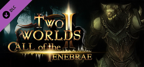 Boxart for Two Worlds II - Call of the Tenebrae